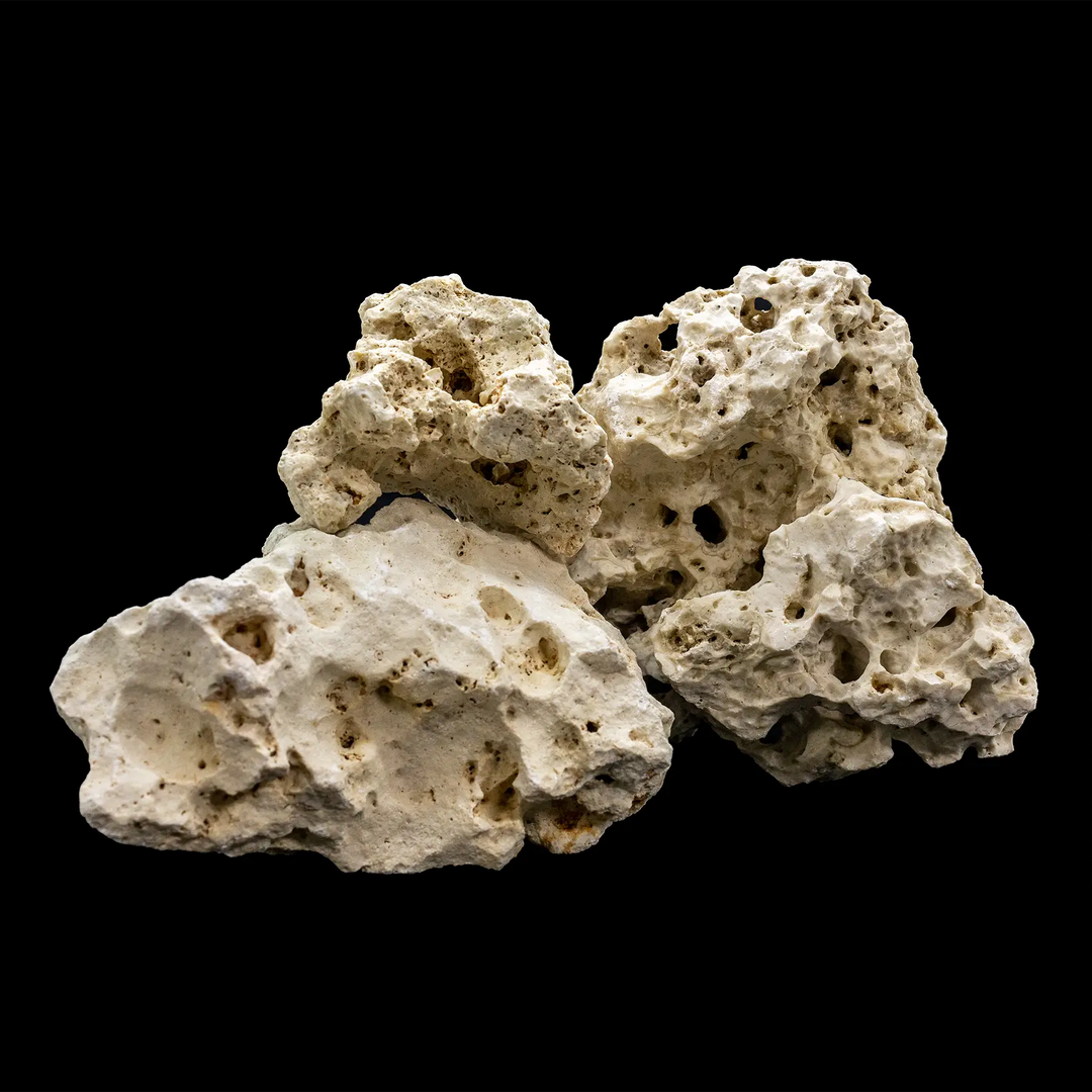 Holey Rock Freshwater Rock PER POUND